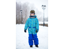 ���������� ������� C1307P