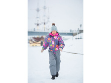 ���������� ������� C1308P