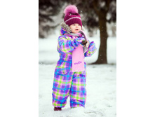 ���������� ������� C1309P