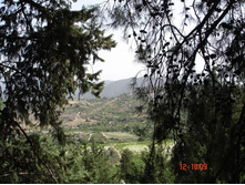 DSC00084.JPG