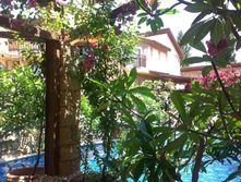 IMAG0725.jpg