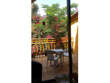 IMAG0737.jpg