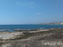 IMAG0850.jpg
