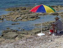 IMAG0857.jpg