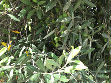 IMAG0882.jpg