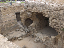 IMAG0921.jpg