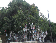 IMAG0977.jpg