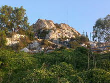 IMAG1059.jpg