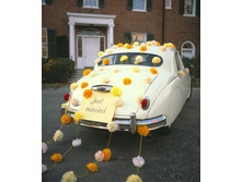 ������ ������������� �������� ��������