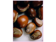 ����� �� ���������������� 50 ��_180 ���.jpg