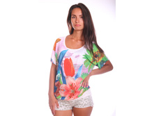 �����  27043.jpg