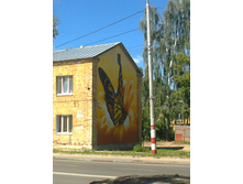 ����1177.jpg