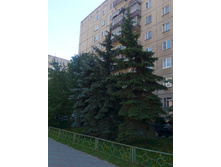 ����1183.jpg