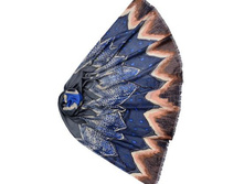 �������� DISPACCI ���. YQM2801 �����, 466,0