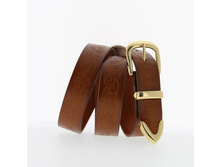 ������ DISPACCI ���. WND500 ����, 290 ���.jpg