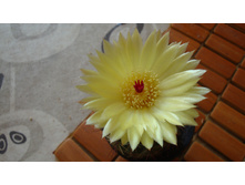 �������� �������(���� 2)