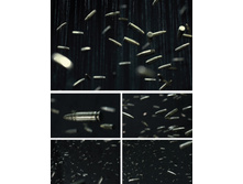 369305-R3L8T8D-600-2013-06-2511.56.32.png.jpg