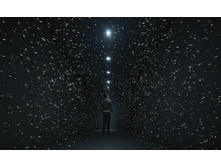 369955-R3L8T8D-600-2013-06-2511.55.55.png.jpg