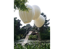 5578255-R3L8T8D-600-Balloons-2.jpg