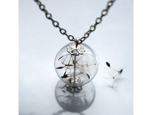8076505-R3L8T8D-600-dandelion.jpg