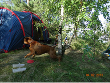 DSC01057.JPG