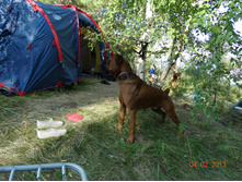 DSC01060.JPG