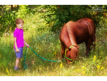 ���� � ���� ����-1.jpg