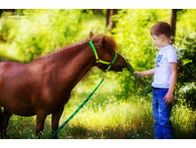 ���� � ���� ����-5.jpg