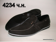 4234 �����.jpg