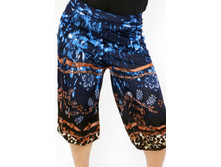 �����  13141.jpg