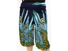 �����  13168.jpg