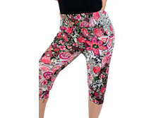 �����  13220.jpg