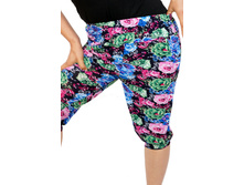 �����  13233.jpg