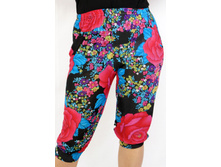 �����  13064.jpg