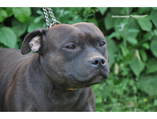 ���� 100.JPG