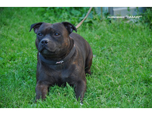 ���� 082.JPG