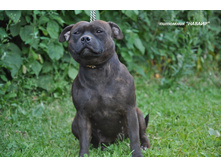 ���� 072.JPG