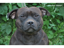 ���� 105.JPG