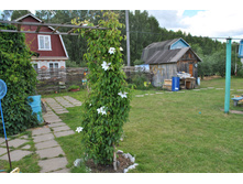 �������� �����