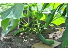 ��������� ������ ������