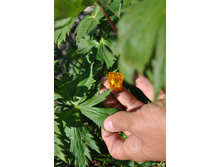 ����������\�����