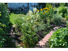 �������� ��������