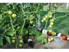 �������� ��������