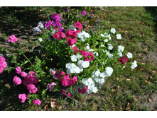 ���������� ������