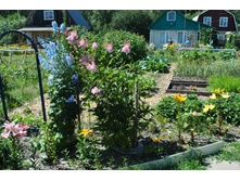 �������� � ����������