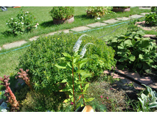 : ��������� ������������