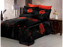 ���. jls-1509.jpg