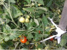 �������. �������� �������� �����.