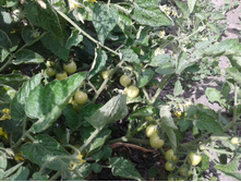 �������. �������� �������� �����.