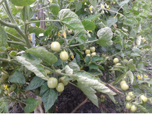 �������. �������� �������� �����.